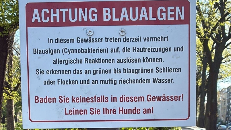 Ein Warnschild, welches vor Blaualgen im Theodor-Heuss Weiher warnt.