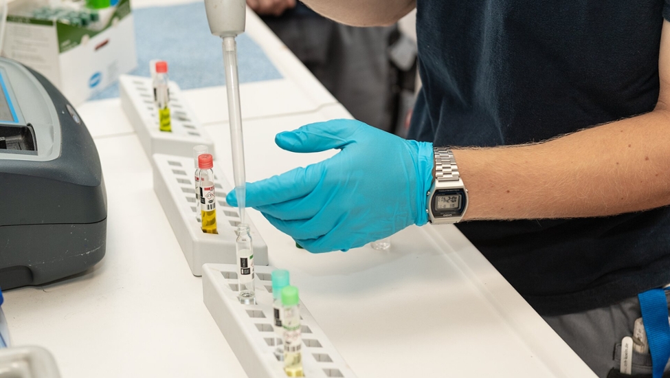 In einem Labor werden Proben untersucht