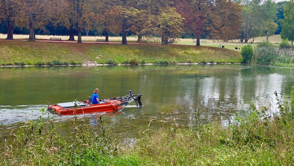 Kleines orangenes Mähboot schneidet Wasserpflanzen auf einem Parkweiher, eine Frau im blauen T-Shirt steuert das Boot, dahinter eine Kastanienallee im Herbst und eine Person auf einer Picknickdecke