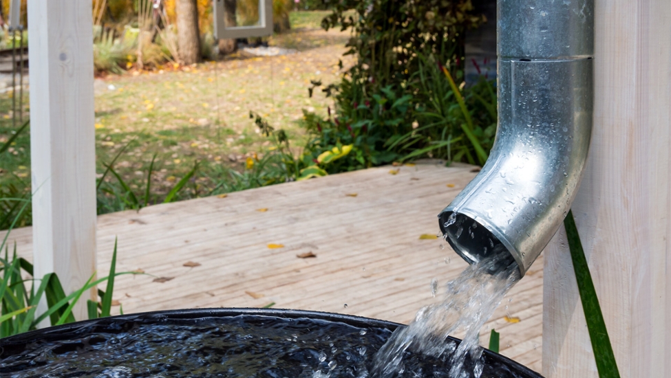 Wasser läuft aus einem Regenfallrohr in eine Wassertonne