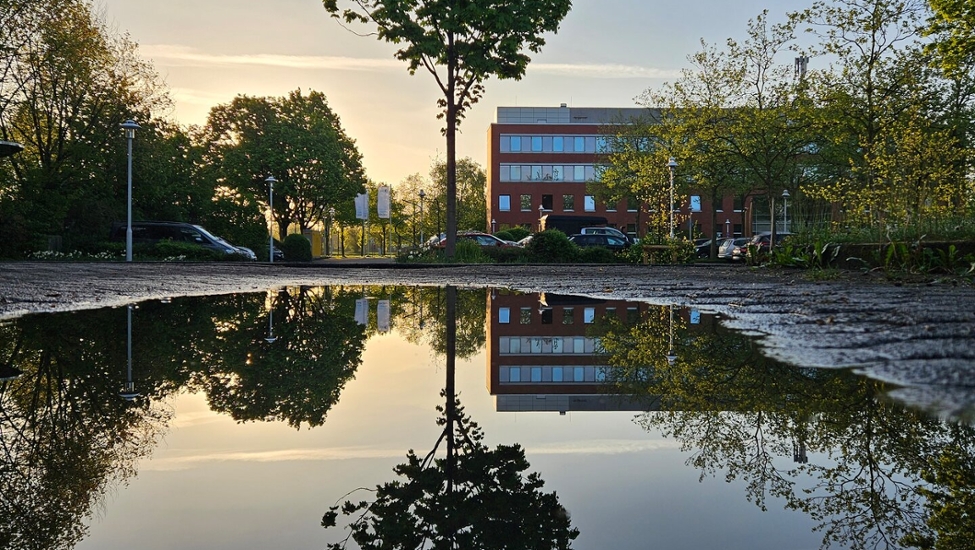 Ein Baum und ein Verwaltungsgebäude spiegeln sich in einer Pfütze, dahinter befindet sich ein Parkplatz.