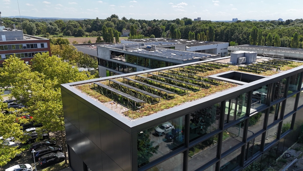 Eine Luftbildaufnahme eines Verwaltungsgebäudes der StEB Köln in Merheim mit begrüntem Dach und Photovoltaik-Anlage, daneben ein angrenzender Parkplatz und ein kleiner Wald