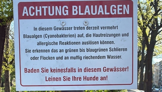 Ein Warnschild, welches vor Blaualgen im Theodor-Heuss Weiher warnt.