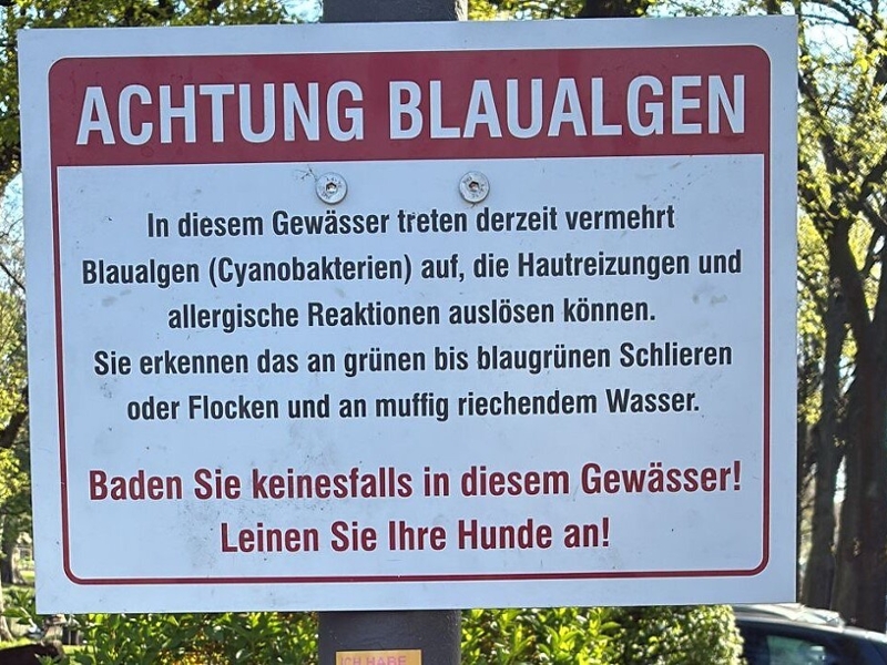 Ein Warnschild, welches vor Blaualgen im Theodor-Heuss Weiher warnt.