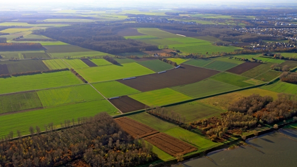 Auf dem Foto sieht man den Retentionsraum Worringen aus der Luft fotografiert.