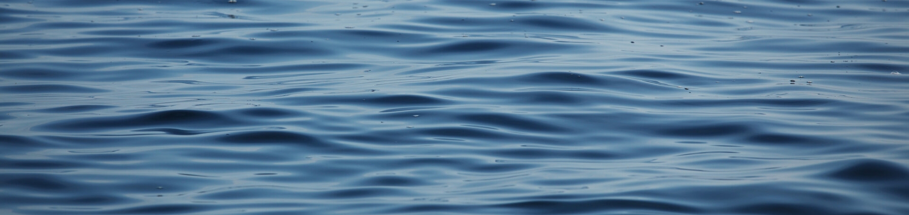 Eine Wasseroberfläche mit leichten Wellen.