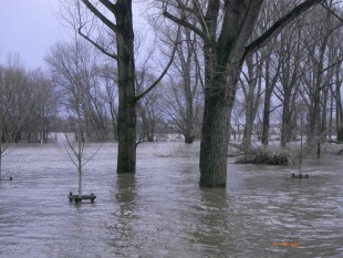 Bild Hochwasser - 05.02.2013 / 7.54m