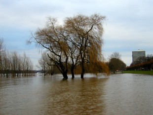 Bild Hochwasser - 14.11.2002 / 7.73m