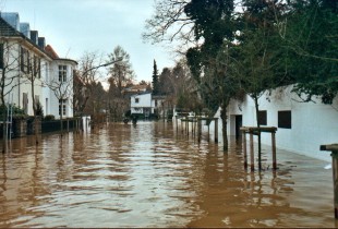 Bild Hochwasser - 04.01.2003 / 9.71m