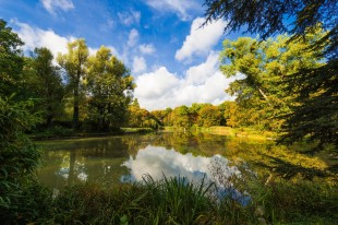 StEB Köln: Sanierung startet – Klettenbergparkweiher wird fit für die Zukunft